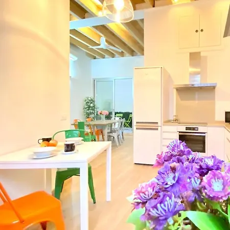 Top-notch Downtown House With Private Rooftop Terrace And Parking Opt