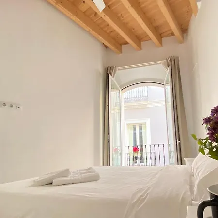 Villa Top-notch Downtown House With Private Rooftop Terrace And Parking Opt