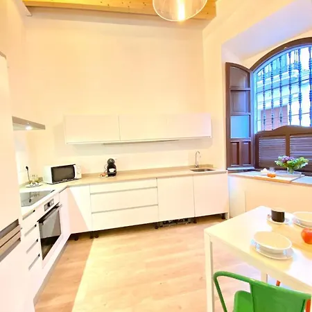 Top-notch Downtown House With Private Rooftop Terrace And Parking Opt Villa Sevilla