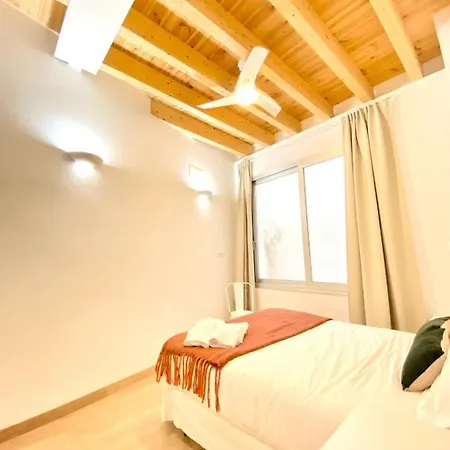 Top-notch Downtown House With Private Rooftop Terrace And Parking Opt