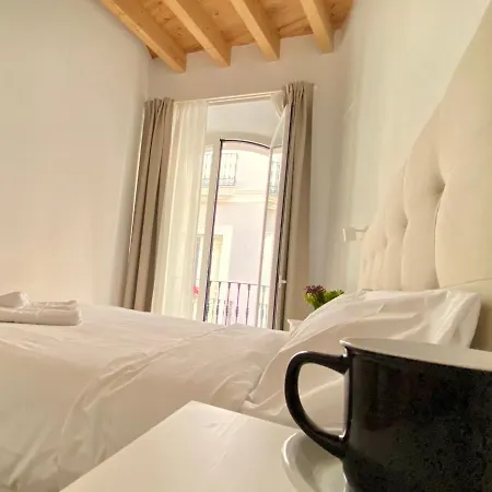 Top-notch Downtown House With Private Rooftop Terrace And Parking Opt *